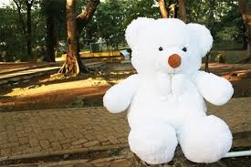 Kami mendedikasikan diri untuk menyediakan patung teddy bear yang bersaiz besar dan berkualiti dengan harga yang perpatutan kepada. Mawar Boneka Beruang Roses Wallpaper Hd With Teddy Bear 1920x1080 Wallpaper Teahub Io
