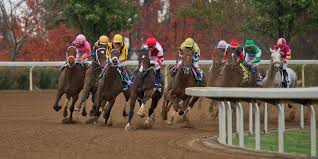 Breeders Cup 2020 Keeneland