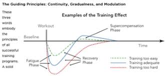 Image result for training effect schema