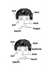 Eye nose and colored mouth. Face Activity Part 1 Esl Worksheet By Anjerq