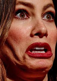 Sofia Vergara S Voice Is Really Annoying Posts Facebook