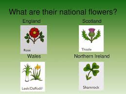 See more ideas about england, scotland, ireland. England Scotland Wales And Northern Ireland Are Collectively Called