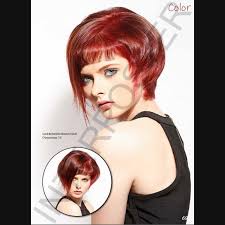 Family Album Vol. 49