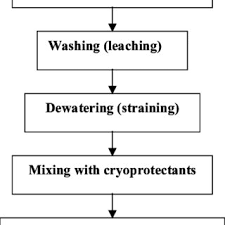 Flow Diagram Of Surimi Processing Download Scientific Diagram