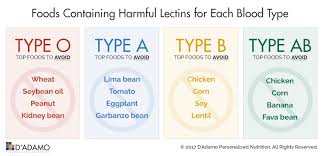 Lectins Blood Types In 2019 Lectins Blood Type Diet