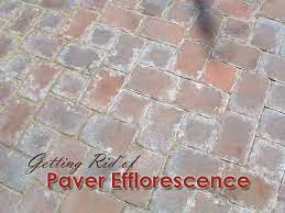 We did not find results for: Getting Rid Of Paver Efflorescence Paver Pavers Brick Pavers