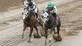 Simulcast racing is shown year round. Retama Park Hosts Camel And Ostrich Races Youtube