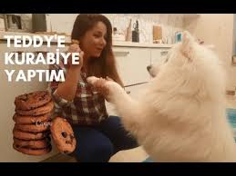 Kopekler Icin En Kolay Kurabiye Yapimi Youtube