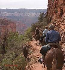 See The Grand Canyon On A Trail Ride Trip To Grand Canyon Grand Canyon National Parks Usa