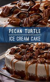 Fisher Nuts Recipe Pecan Turtle Ice Cream Cake Recipe Turtle Ice Cream Ice Cream Cake Nut Recipes