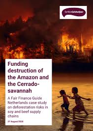 Mezi nejznámější hity patří písničky i can't. Funding Destruction Of The Amazon And The Cerrado S By Both Ends Issuu