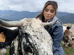 Subhashree sahu mms porn video other providers really ought