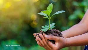 World environment day is celebrated every year on the 5th of june as an approach by the united nation targeted towards the motive to encourage awareness regarding the world environment day messages, quotes & greetings. Gxexznowpbl8 M