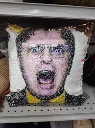 Sequined Dwight pillow cover at Goodwill in Syracuse NY