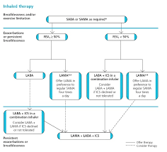 Image result for COPD Management