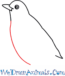 How To Draw A Blackbird Click to see details of how easy it is. how to draw a blackbird