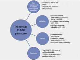 Image result for FLACC Scale