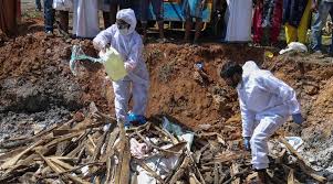The bird flu virus found in 150,000 birds in the netherlands has been identified as h5n8 but what does that actually mean? Bird Flu News Centre Issues Bird Flu Alert After H5n1 Virus Found In Samples From Himachal Pradesh