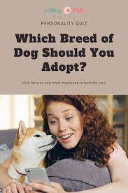 Dog Breeds List Of Which Dog Breed Is Right For Me Quiz Which Dog Breed Are You Quiz What Dog Breed Am I Q Which Dog Are You What Dogs What