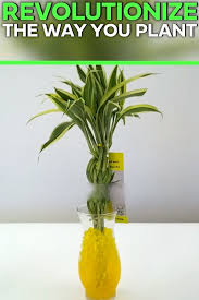 For The First Time Ever Increase Your Plants Quality And Length Of Life Without The Maintenance Crystal Soil Is Made O In 2020 Plants House Plants Indoor House Plants
