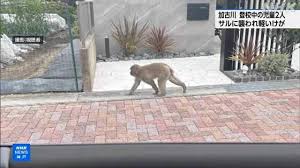 News source: NHKニュース