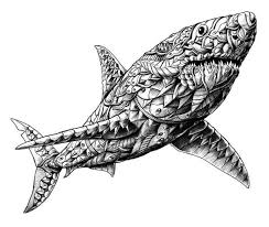 Bioworkz Shark Tattoos Shark Art Shark Drawing