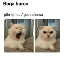 Gugu Kusu Adli Kullanicinin Sozlerrr Panosundaki Pin 2020 Boga Burcu Boga Burclar