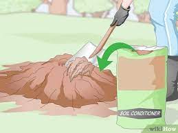 Keep the compost off of the trunk when dispersing it around the tree. 3 Ways To Prepare Soil For Fruit Trees Wikihow