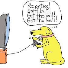 I know it's small and expensive, but wait till you see all the pokemon. Dog Video Game Von Mfarmand Medien Kultur Cartoon Toonpool