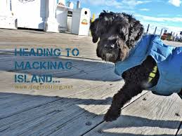 Part Ii Mackinac Island Michigan Dog Friendly Horse Drawn Experience Mackinac Island Michigan Travel Dog Friends