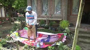 Membuat taman buatan dari kardus bekas, alat bahan dan tata cara membuat taman buatan dari kardus bekas; Inspiration Langkah Langkah Membuat Taman Buatan Dari Kardus Bekas Taman Minimalis Taman Minimalis