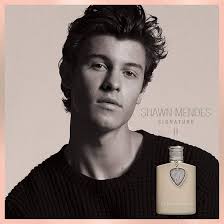 Shawn Mendes Signature II