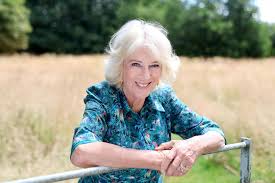 Hotgirlmeg leaks messages were superb with a warm text on