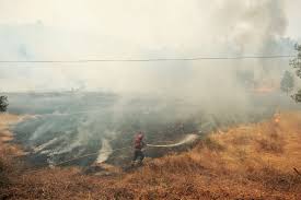 O uso de meios aéreos no combate ao incêndio foi o motivo que. Incendio Em Loures Deixou 37 Pessoas Desalojadas Incendios Publico