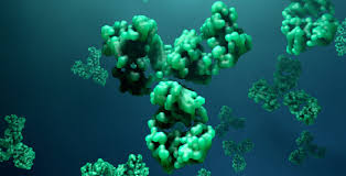 A trace amount of non igg proteins was not isolated and remained in this precipitate. Complete Guide To Recombinant Antibodies Benefits Uses