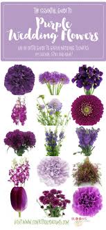 The Complete Guide To Purple Wedding Flowers Purple Flower Names Purple Wedding Flowers Bouquet Purple Wedding Flowers Centerpieces Purple Wedding Flowers