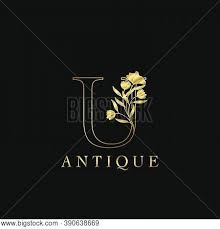 We did not find results for: Golden Letter U Vector Photo Free Trial Bigstock
