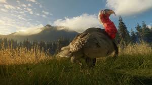 Bit.ly/huntercotwplaylist thanks for watching the hunter cotw, please like if. Go Turkey Tracking In The Rockys With Thehunter Call Of The Wild Silver Ridge Peaks Dlc Thexboxhub