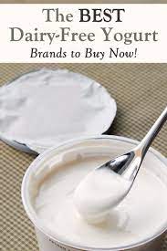 We tried 17 different brands, which will reign supreme? The 10 Best Dairy Free Yogurt Brands To Buy Right Now