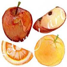 De Fruits Aquarelle Fruits Clipart Clipart Clipart Poire Etsy Fruit Clipart Watercolor Fruit Fruit
