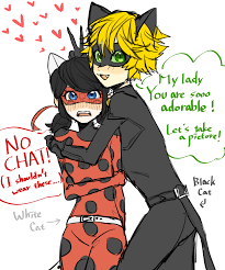 Molau 1113 The White Cat And The Black Cat Dd Miraculous Ladybug Anime Miraculous Ladybug Comic Miraculous Ladybug Funny