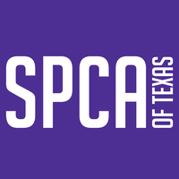 Any activities announcements childcare events garage sales groups help & charity lost & found pets missing persons pet adoptions rideshare volunteers. Spca Of Texas Linkedin