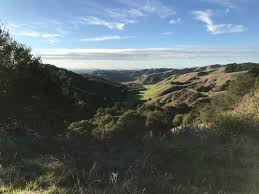 With its rolling, grassy hills and secluded, shady canyons Best Trails In Briones Regional Park California Alltrails