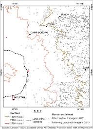 Image result for Aster milanjianus