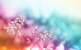 Your abstract art stock images are ready. Abstract Nature Wallpapers Wallpaper Cave