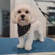 Imprinted Impressions