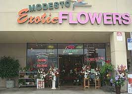 George of modesto exotic flowers gives you an insider's look into his flower shop, and shares with you the many ways that he helps customers with all their floral needs. 3 Best Florists In Modesto Ca Expert Recommendations