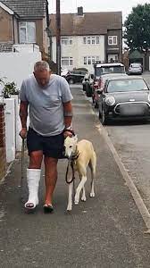 Hilarious Dog Roasting Owner's Broken Leg - Funny Dog Fails Compilation |  TikTok