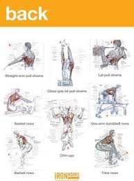 Back Traps And Biceps Workout Biceps Workout Traps