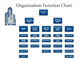 26 Rational Organizational Structure Chart Template Word